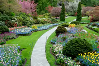 Landscaped Garden at Sunteck Mira Road